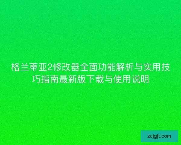 格兰蒂亚2修改器全面功能解析与实用技巧指南最新版下载与使用说明