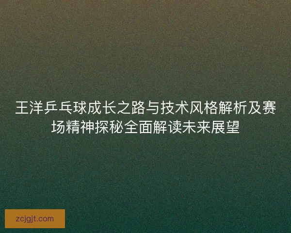 王洋乒乓球成长之路与技术风格解析及赛场精神探秘全面解读未来展望